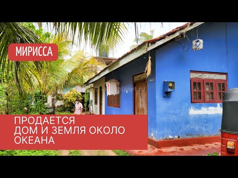 Видео: Дом и участок рядом с океаном, Мирисса, Шри-Ланка