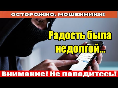 Видео: Мошенники звонят по телефону / Гуран отправил чек погрустневшей мошонке.