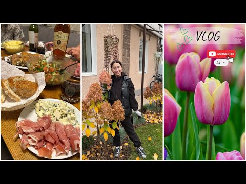 Видео: Давно не было такого застолья 🎉🥂 | Высаживаем голландские тюльпаны🌷 и нарциссы 🌼