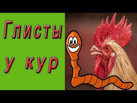 Видео: Глисты у кур - первые признаки и лечение.