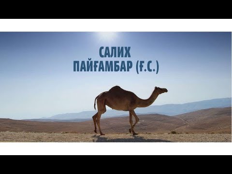 Видео: Самуд қауымына жіберілген Салих (ғ.с.) пайғамбар