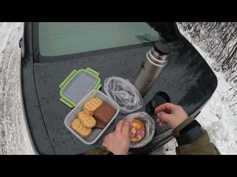 Видео: 5 ноября 2025 г.