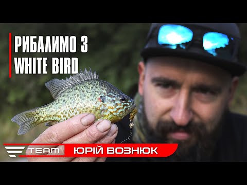 Видео: Рибалка на бюджетний спінінг Favorite White Bird. Ловля окуня та щуки на річці Тетерів.