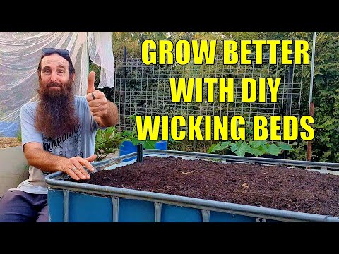 Видео: Как сделать грядку с влагоотводом из ящиков для хлеба | Большая вместимость воды и здоровая почва