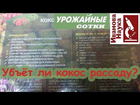 Видео: Самое главное правило подготовки КОКОСА к посеву семян и посадке рассады.