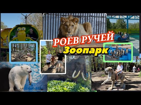 Видео: Парк аттракционов, парк флоры🌳и фауны..РОЕВ РУЧЕЙ. Красноярск . 