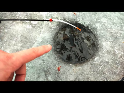 Видео: ПОПАЛИ НА ЖОР... таких БАТОНІВ ще не ловив | Зимова рибалка в Кременчуці 2023