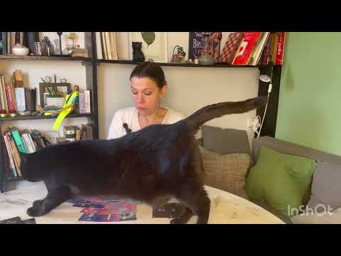 Видео: 🔥 ЧТО ЗНАЧАТ ДЛЯ НЕГО ВАШИ ОТНОШЕНИЯ?