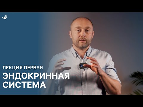 Видео: Эндокринная система. Лекция первая.