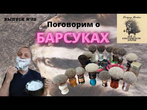 Видео: Поговорим о барсуках.