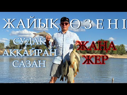 Видео: НОВЫЕ МЕСТА ДНЕМ КЛЕВ САЗАНА ВЕЧЕРОМ КЛЕВ СУДАКА