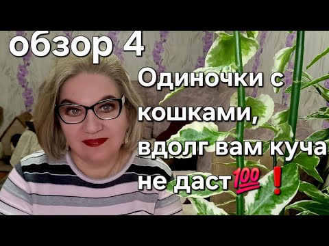 Видео: Одиночки с кошками, в долг вам Куча не даст!