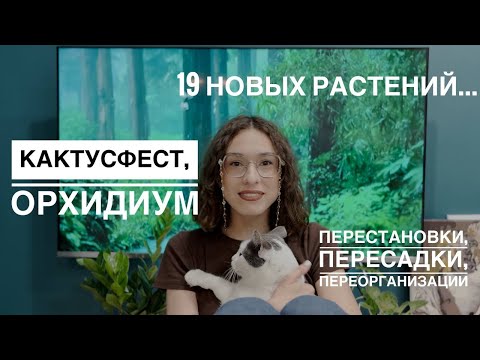 Видео: ОРХИДИУМ и КАКТУСФЕСТ 2025: Мои покупки, пересадка, организация стеллажа и влог