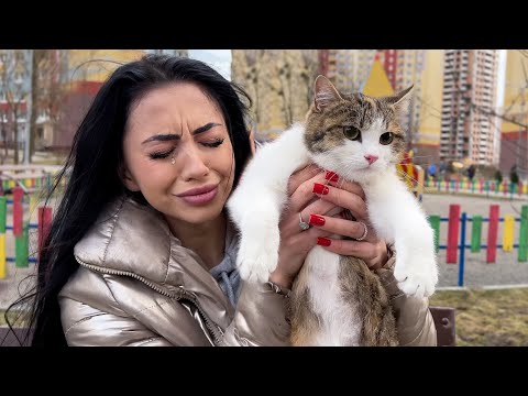 Видео: Подобрала БЕРЕМЕННУЮ Кошку на Улице / спасение кошки