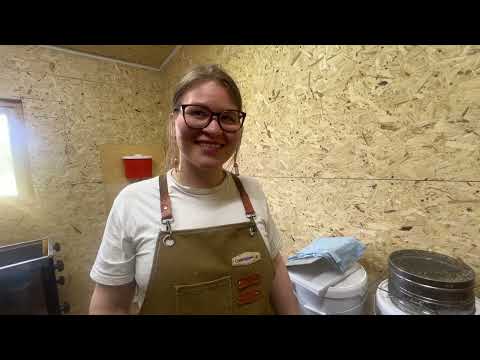 Видео: Как добывают мёд на севере: пчеловод Сплендер из Вотчи — Территория Коми