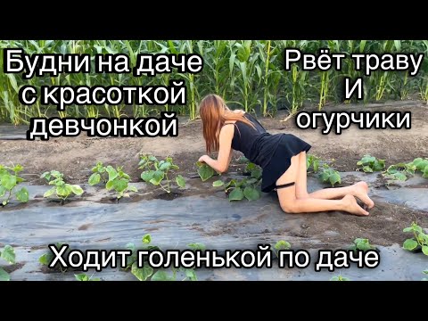Видео: ЗАСТАВЛЯЕМ КРАСОТКУ РВАТЬ ТРАВУ НА ДАЧЕ | ЗБОР ОГУРЦА В МИНИ-ЮБКЕ 😱
