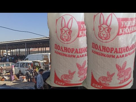 Видео: Паранда бозори н. Рӯдаки... 20.10.2024 с