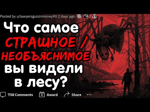 Видео: ЧТО САМОЕ СТРАШНОЕ / НЕОБЪЯСНИМОЕ ВЫ ВИДЕЛИ В ЛЕСУ?