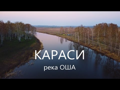 Видео: Рыбалка на карася. Омская область. Река Оша.