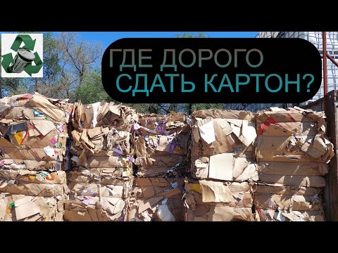 Видео: ГДЕ ДОРОГО СДАТЬ КАРТОН В АЛМАТЫ? 50 ТЕНГЕ ЗА КГ! КАЗАХСТАН!