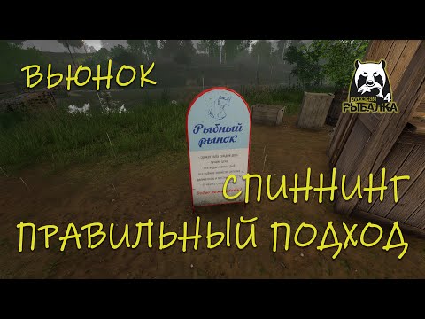 Видео: Русская рыбалка 4. Вьюнок. Спиннинг. Подход к трофею.