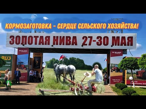 Видео: Золотая нива 2025! Часть4. Техника для заготовки кормов.