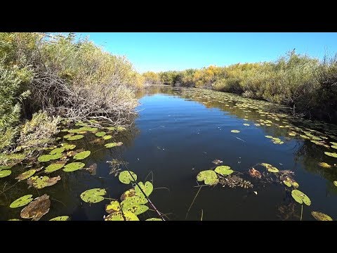 Видео: ДА ОНА ЗДЕСЬ БЕШЕНАЯ! Щука АТАКУЕТ прям у лодки! РЫБАЛКА на щуку на реке Кулан!!!