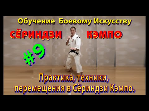 Видео: #9. Практика, техники, перемещения в Сёриндзи Кэмпо. Стремительное движение в бою.
