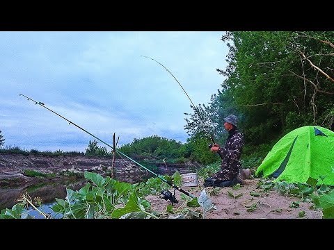 Видео: ЭТО РЫБАЛКА МЕЧТЫ! ДИКАРЁМ С НОЧЁВКОЙ! АКТИВНЫЙ КЛЁВ ТОЛЬКО ЗАКИНЬ! Ловля рыбы на донки 2023.