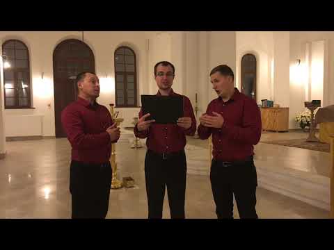 Видео: Вокальное трио СПАС - Блажен Муж ( Рижское) Монастырский напев