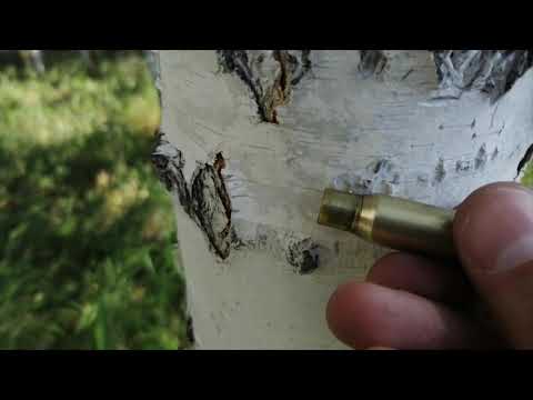 Видео: Ресурс гильз 308 в молотковом наборе и мр 18