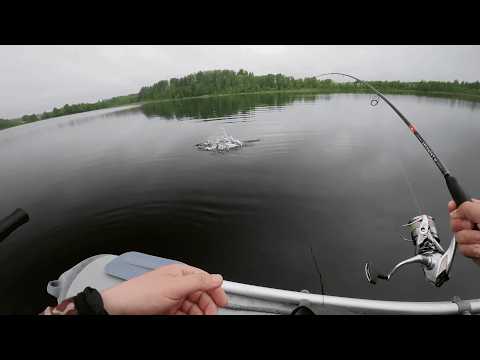 Видео: На разведке рыбного озера в Латгалии - УСПЕШНО!