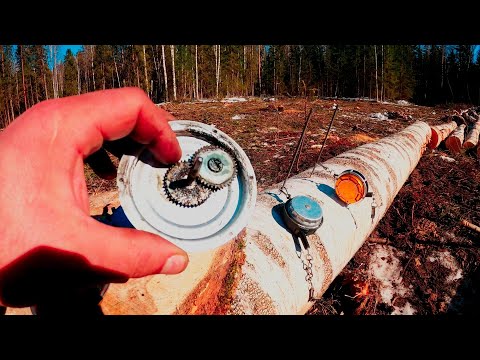 Видео: КАКУЮ РУЛЕТКУ ВЫБРАТЬ !?