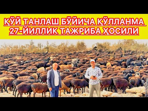Видео: СУРХОНДАРЁ ХИСОРИ ҚЎЙЛАРИ Ф/Х ҚЎЙЛАРИ