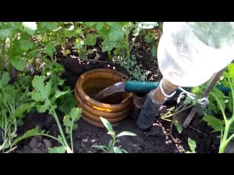 Видео: Виноград Полив виноградника