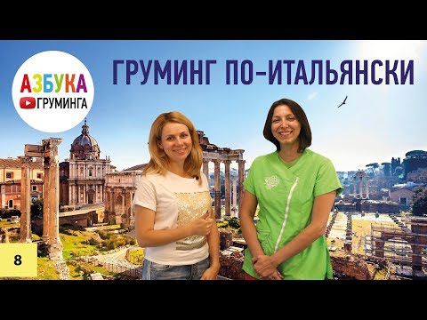 Видео: Груминг салон в Италии. Как стригут собак в Риме?