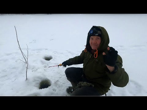 Видео: День живца \ Их тут миллионы \ Ну ооочень крупный речной гольян
