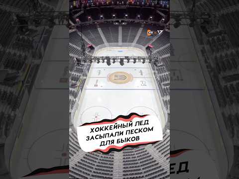 Видео: ХОККЕЙНУЮ АРЕНУ ПЕРЕСТРОИЛИ ДЛЯ ЧЕМПИОНАТА С БЫКАМИ
