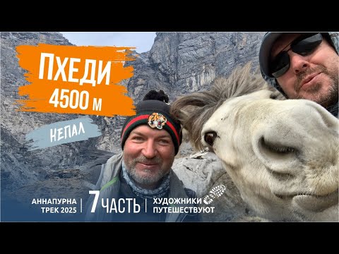Видео: Торонг Пхеди. Фильм 7. Непал 2025. Трек Аннапурна. Художники Путешествуют.
