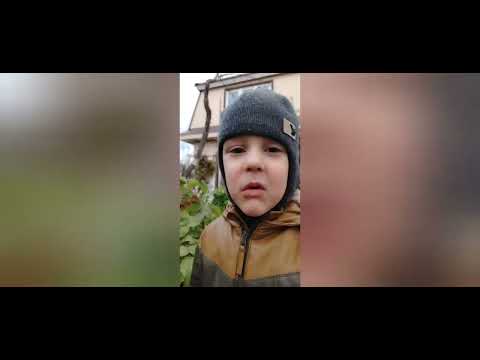 Видео: 28 октября 2025 г.