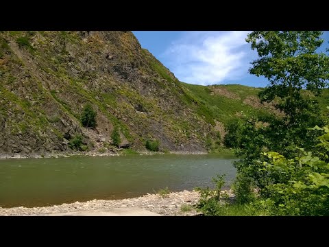 Видео: Дорога в Горную Ульбинку _ 08.2020г.