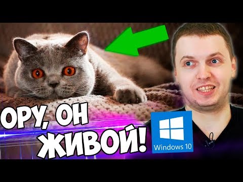 Видео: ПАПИЧ УСТАНОВИЛ ЖИВЫЕ ОБОИ ДЛЯ WINDOWS 10 на Рабочий стол!