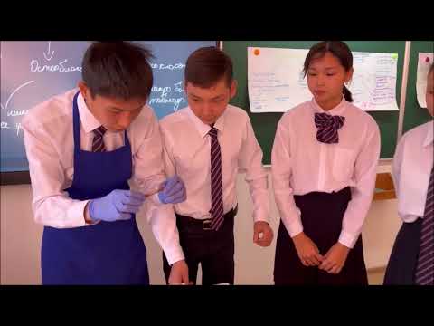 Видео: Биология 8-сынып "Сүйектің микро және макроскопиялық құрылысы"  А.А.Таскынбаева