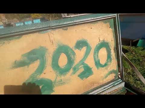 Видео: Слетела семья причина очевидна...