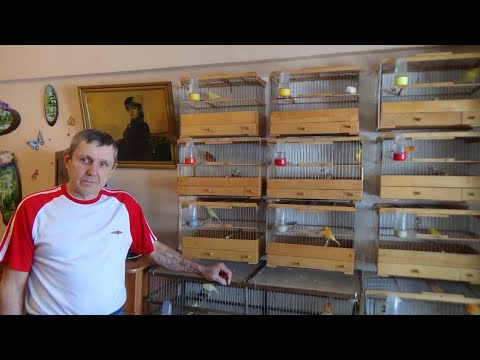 Видео: У Иваныча в гостях, Получили посылку с Германии. Купил комплектующие для брудера.