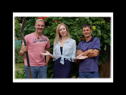 Видео: Чому не плодоносить ожина, виноград несмачний і як боротися зі слимаками? Випуск 1.