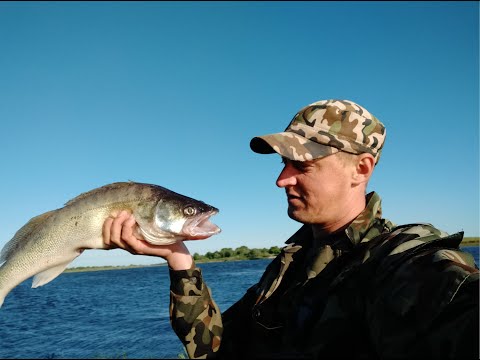 Видео: Спиннинг! Развилка Неман Калининградская обл. Советск