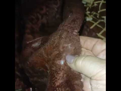 Видео: Без света 7 часов