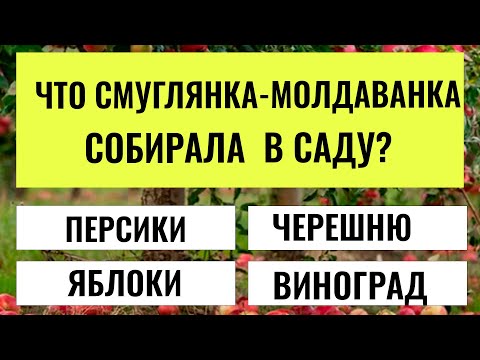 Видео: ВЫ ГЕНИЙ? Увлекательный Тест на эрудицию