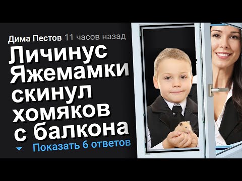 Видео: ЛИЧИНУС ЯЖЕМАМКИ СКИНУЛ ХОМЯКОВ С БАЛКОНА. ЯЖЕМАТЬ ИСТОРИИ.